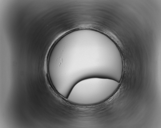 X0000096211036200801181005