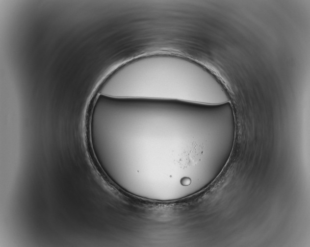 X0000096211038200801181005