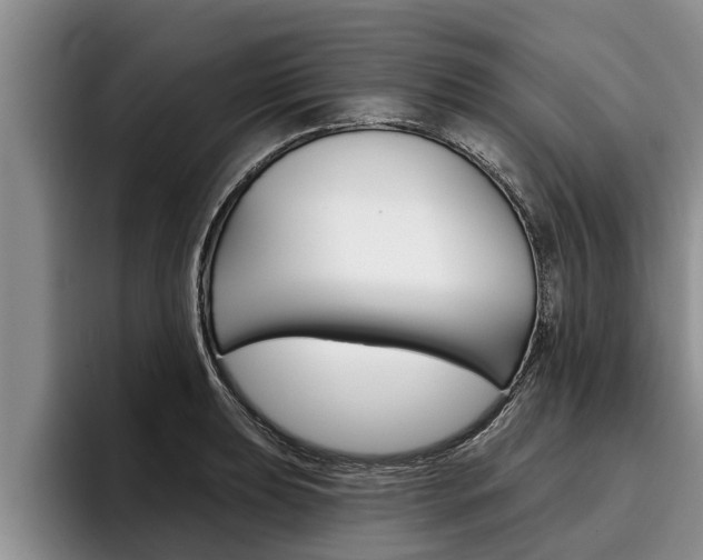 X0000096211039200801181005