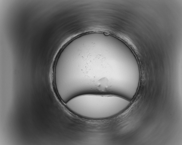 X0000096211040200801181005