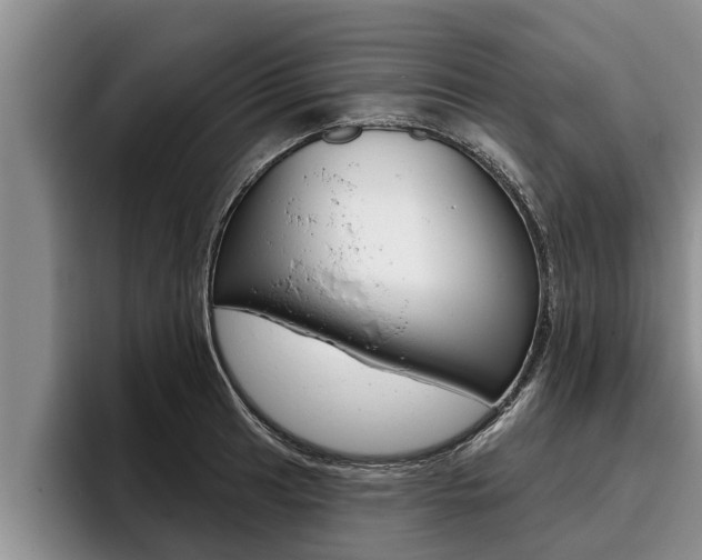 X0000096211041200801181005