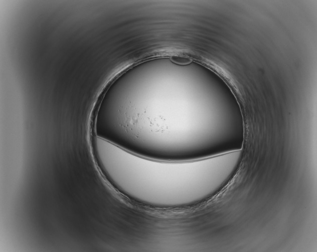 X0000096211042200801181005
