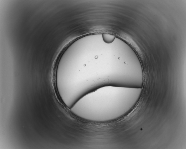 X0000096211043200801181005