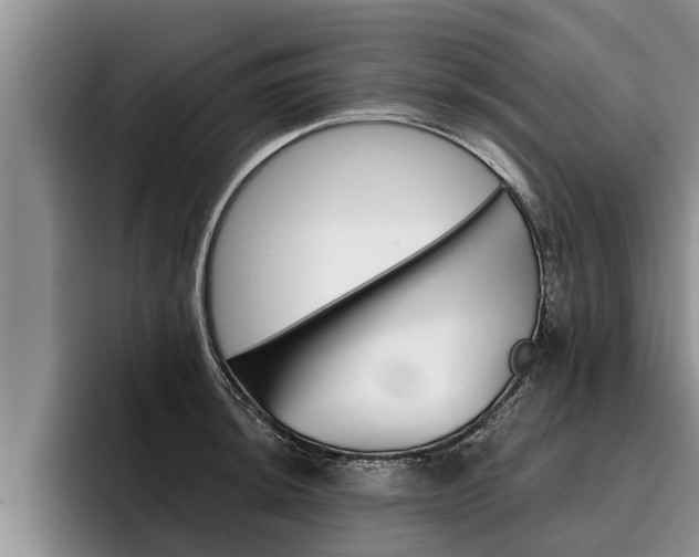 X0000096211044200801181005