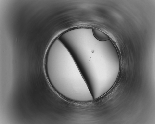 X0000096211045200801181005