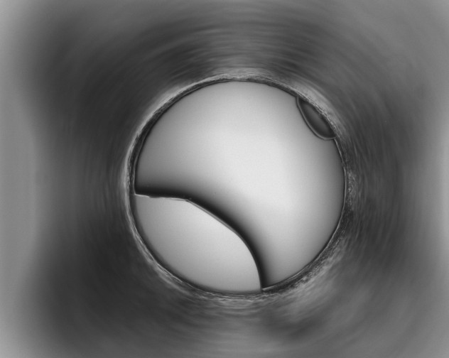 X0000096211046200801181005