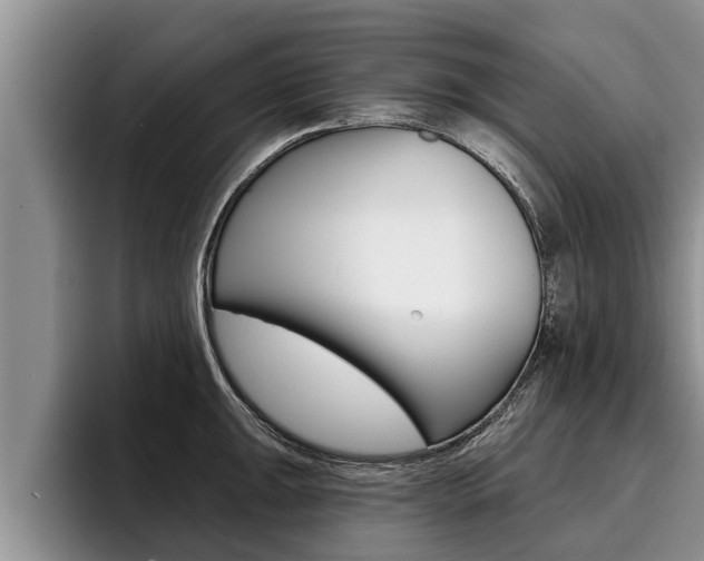 X0000096211047200801181005