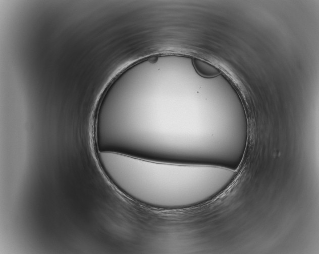 X0000096211048200801181005