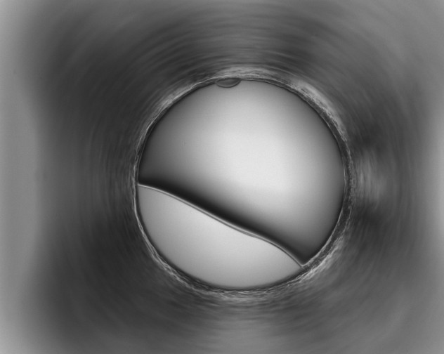 X0000096211049200801181005