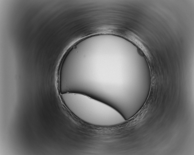 X0000096211051200801181005