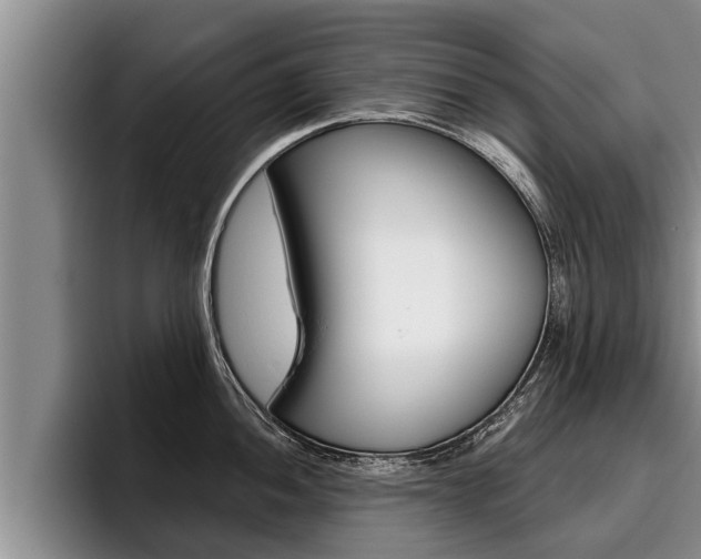X0000096211052200801181005