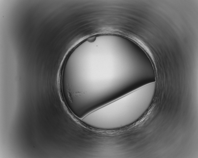 X0000096211053200801181005