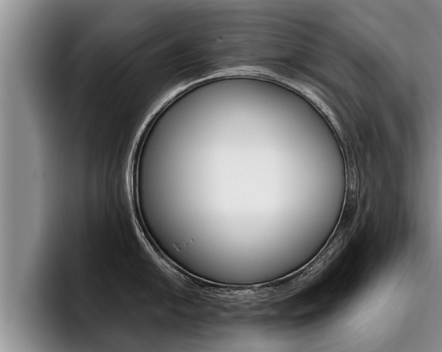 X0000096211054200801181005