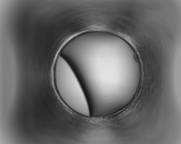 X0000096211056200801181005