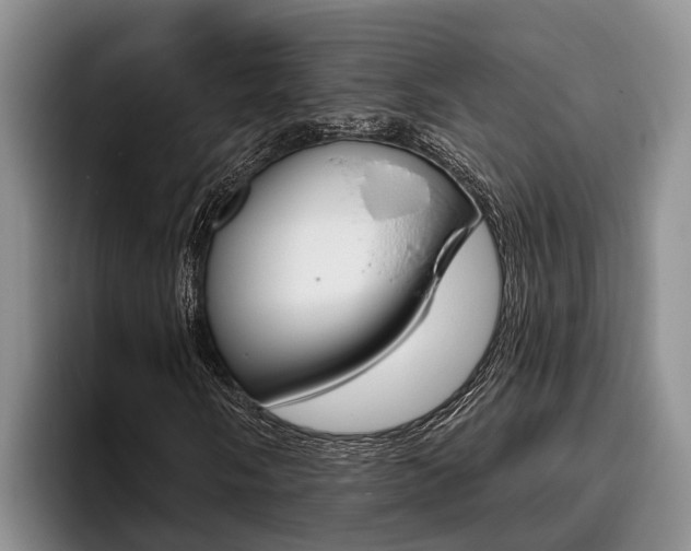 X0000096211058200801181005