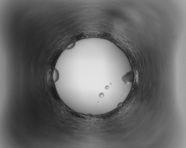 X0000096211059200801181005