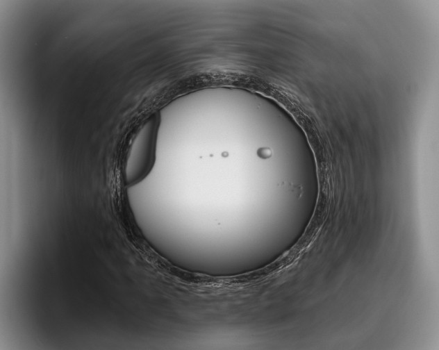 X0000096211061200801181005