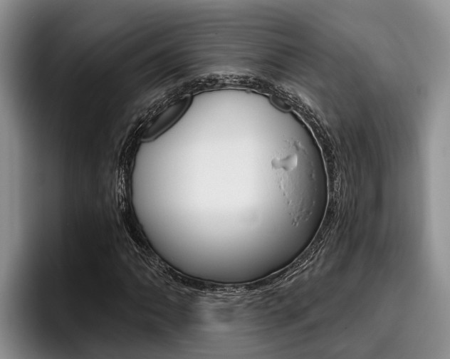 X0000096211062200801181005