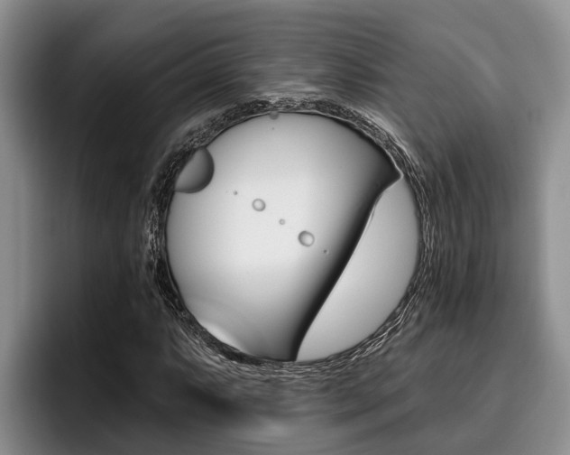X0000096211063200801181005