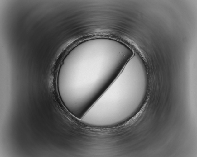 X0000096211066200801181005