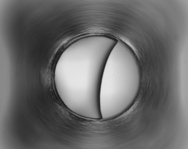X0000096211067200801181005
