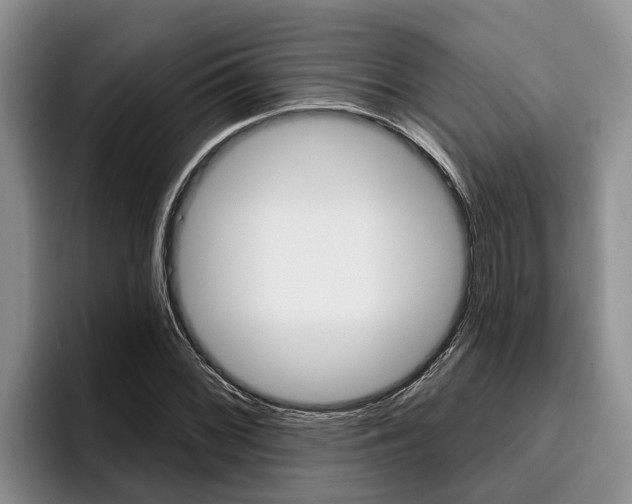 X0000096211068200801181005