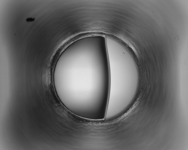 X0000096211069200801181005