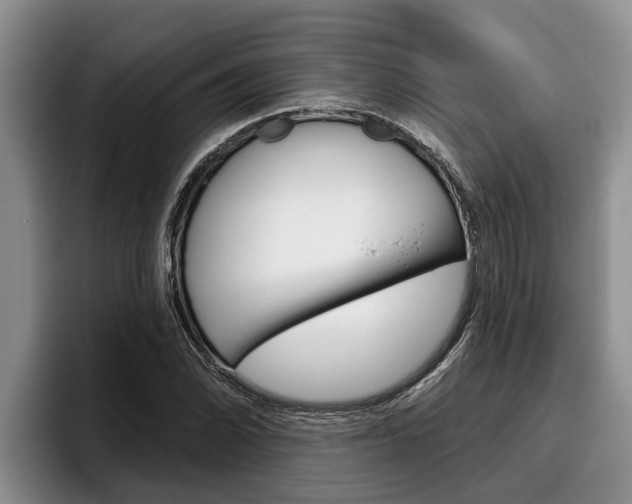 X0000096211070200801181005