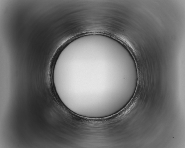 X0000096211071200801181005