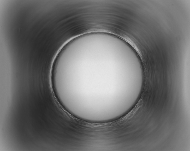 X0000096211076200801181004