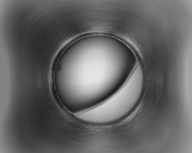 X0000096211077200801181004