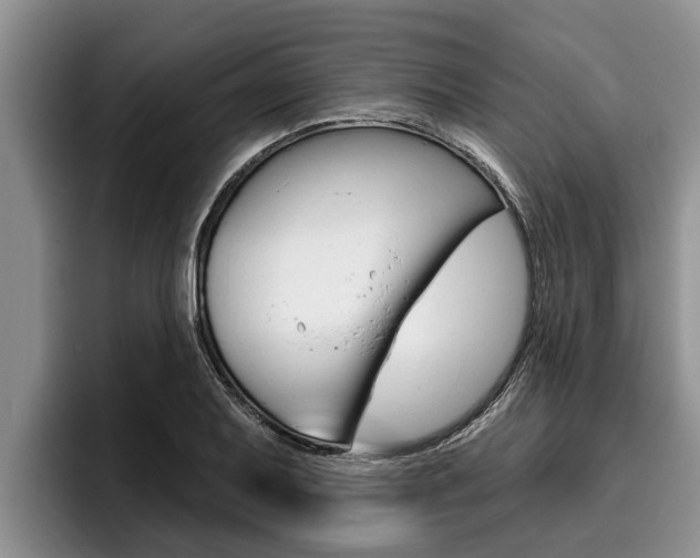 X0000096211079200801181004