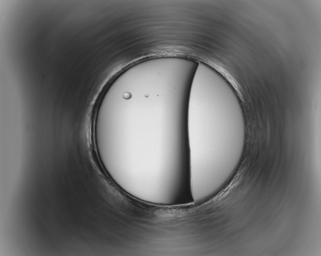 X0000096211083200801181004