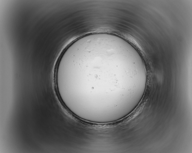 X0000096211087200801181004
