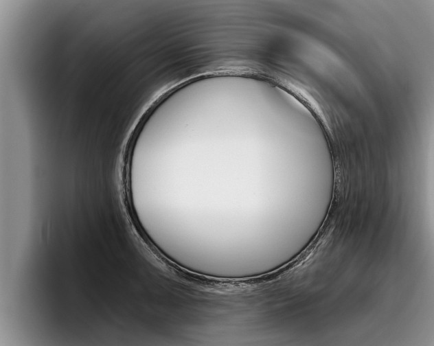 X0000096211091200801181004