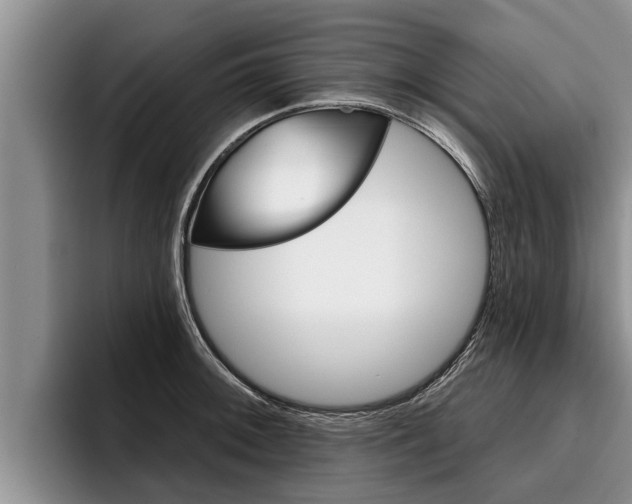 X0000096211092200801181004
