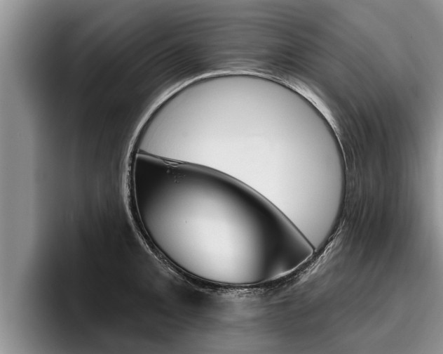 X0000096211093200801181004