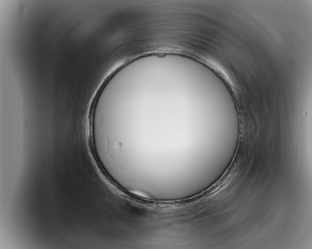 X0000096211095200801181004