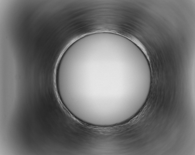 X0000096211096200801181004