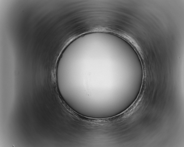 X0000096211097200801181004