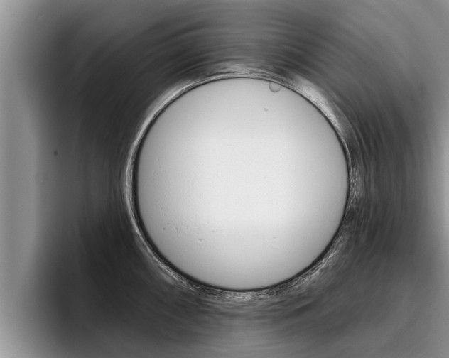 X0000096211098200801181004