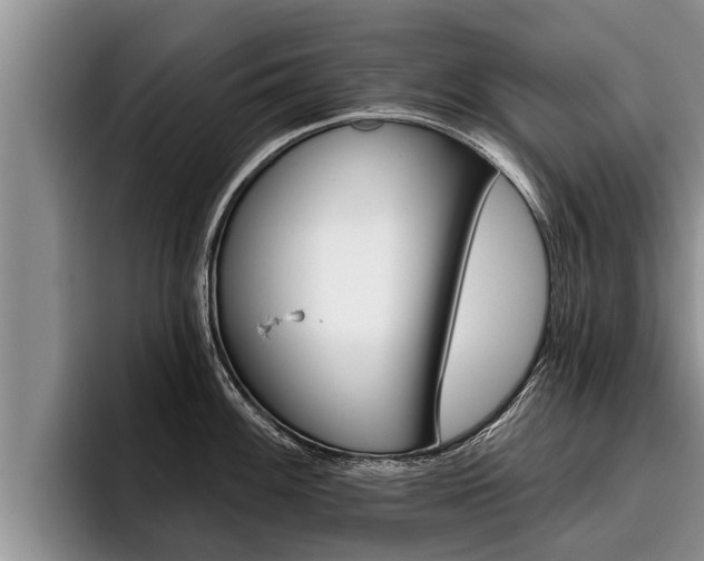 X0000096211100200801181004