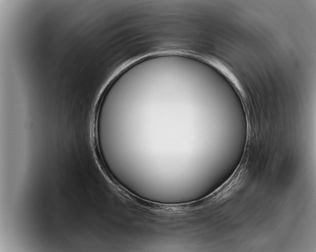 X0000096211101200801181004