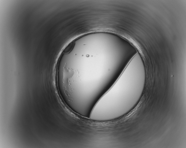 X0000096211102200801181004
