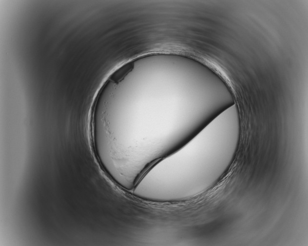 X0000096211103200801181004