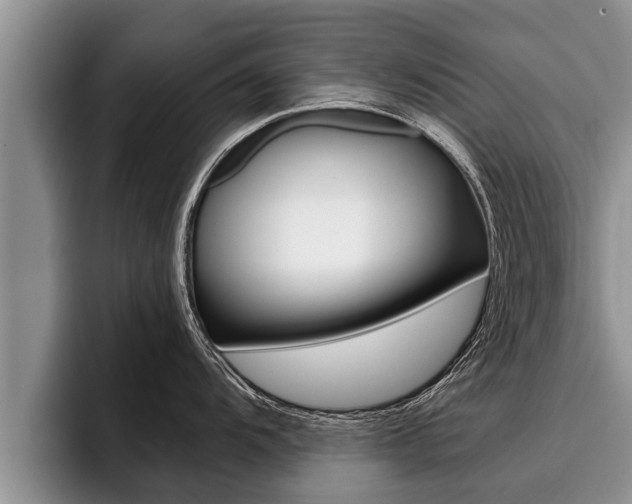 X0000096211104200801181004