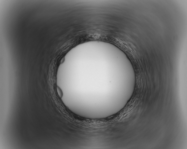X0000096211105200801181003