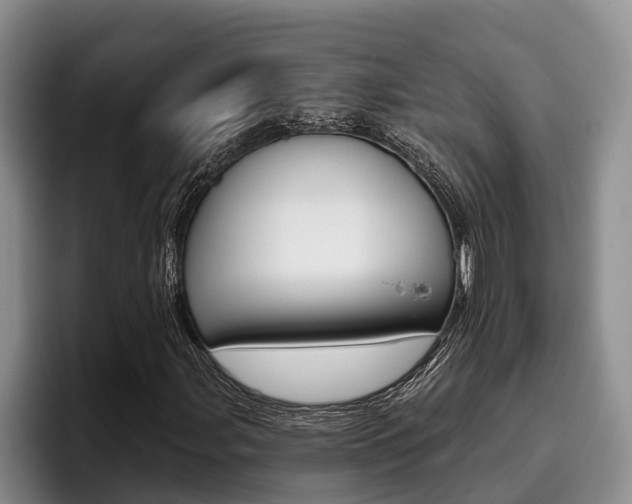 X0000096211107200801181003
