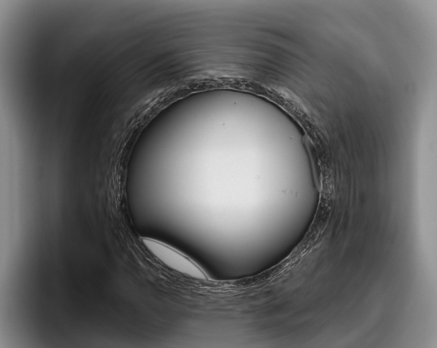 X0000096211110200801181004