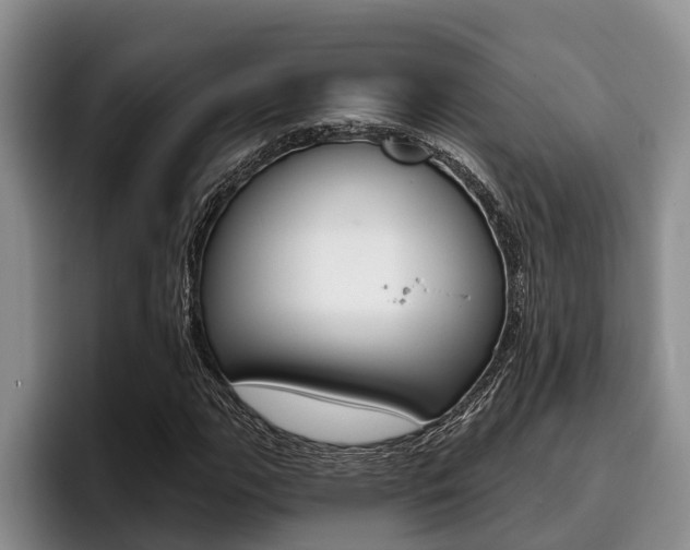 X0000096211111200801181004